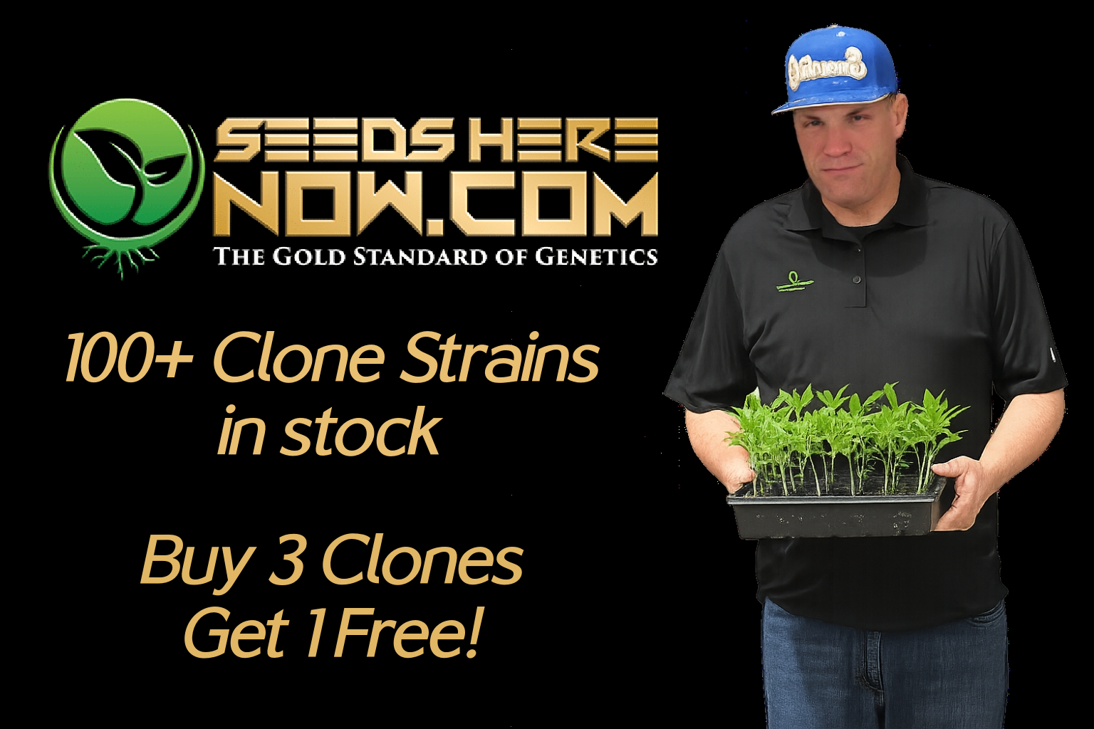 Advertisement