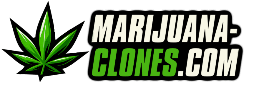 Marijuana Clones 